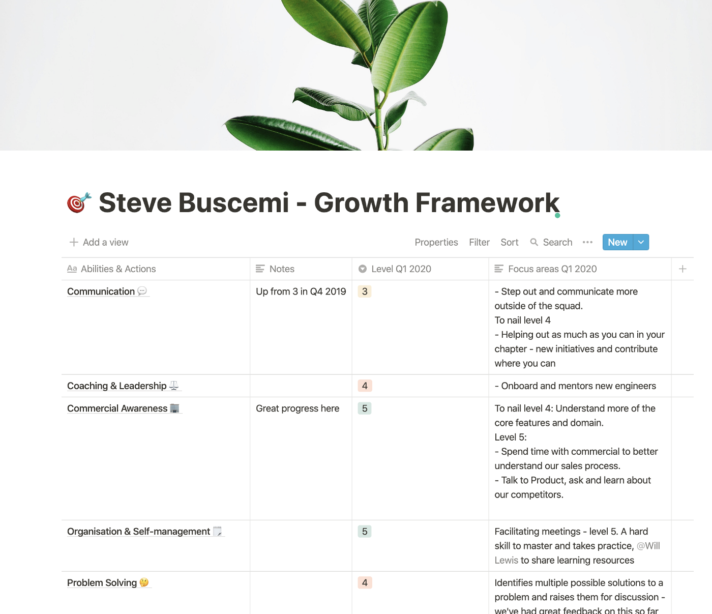 Steve’s Growth Framework